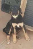 Doby