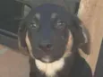 Doby