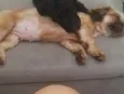 Skye