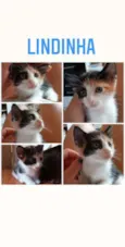 Lindinha