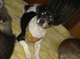 Jully