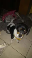 Jully