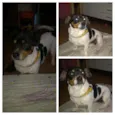 Jully