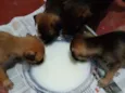 Sem Nomes Ainda! 