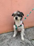 Kika