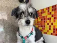Kika