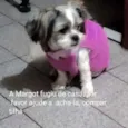 Margot