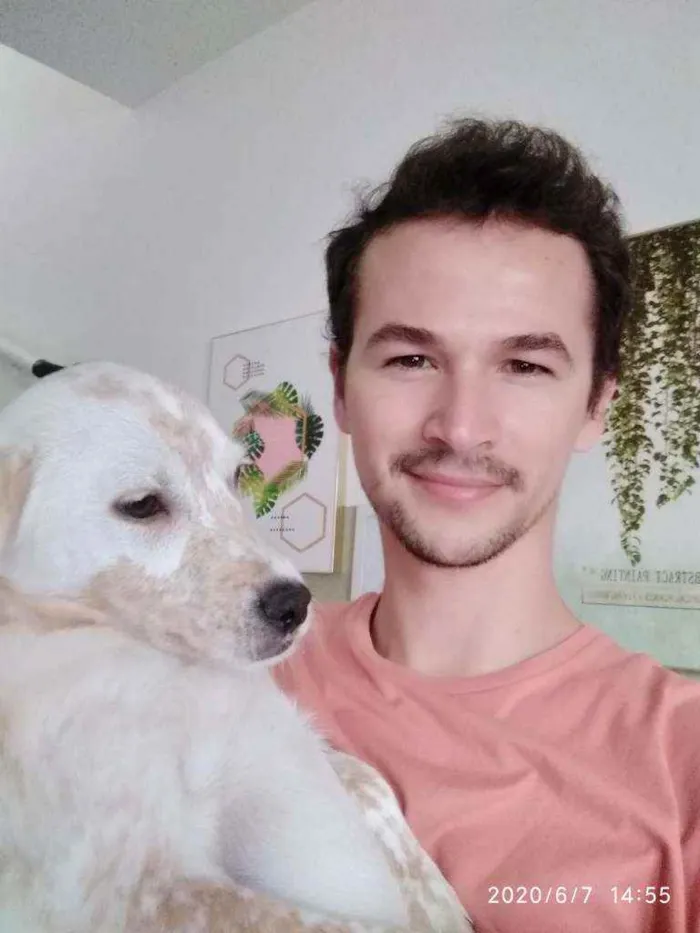 Cachorro ra a SRD idade 7 a 11 meses nome Mike