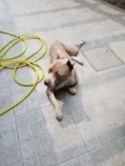 Zeus