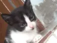 Mimy