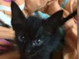 Pretinho lindo????