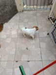 Não sei