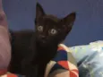 Pretinho lindo????