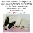 Cadelinha