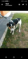 Caco