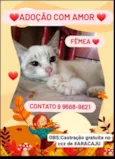 Perla