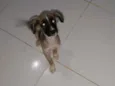 Não tem 