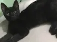 Salem