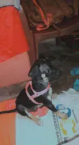 Cloe 