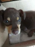 Bella