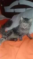Ramón