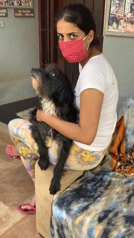 Cachorro ra a SRD idade 3 anos nome Valentin