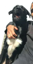 Mada