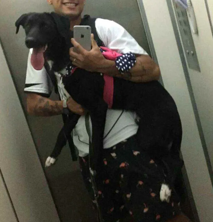 Cachorro ra a  idade 7 a 11 meses nome Mada