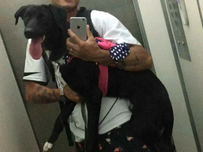 Cachorro ra a  idade 7 a 11 meses nome Mada