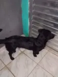 Fubá