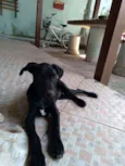 Nina