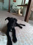 Nina