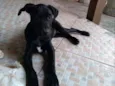 Nina