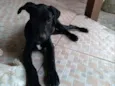 Nina