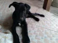 Nina