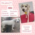 Nina