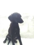 Não sei