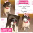 Esmeralda