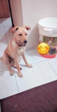 Nala