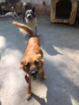 LILI E FLOR