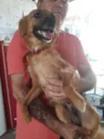 LILI E FLOR