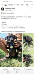 Não tem