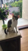 Mia