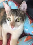 Mia