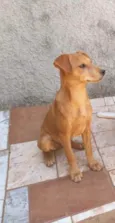 Ticki