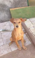 Ticki