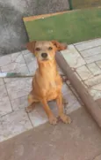 Ticki