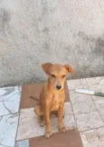 Ticki