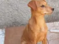 Ticki