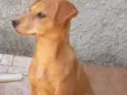 Ticki